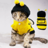 cat in bee costume