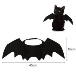bat wings for a cat