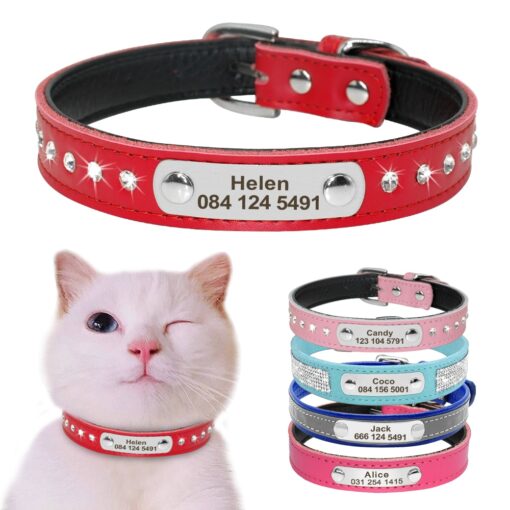 personalized cat collar