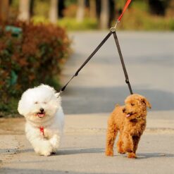 double dog walking leash