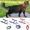 cat harness with leash
