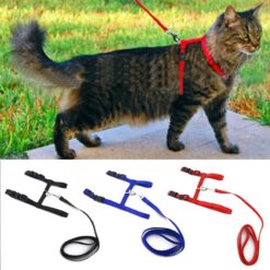 cat harness with leash