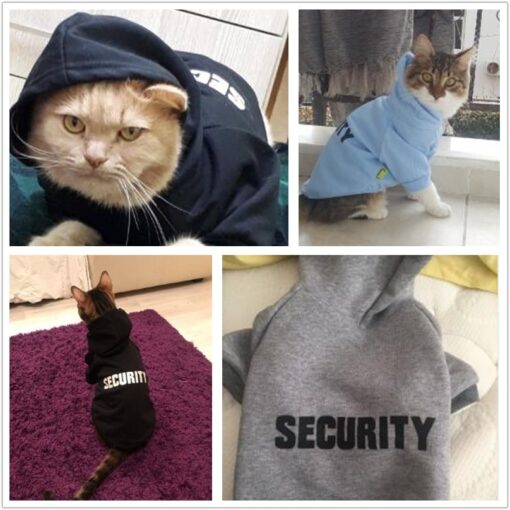 security cat hoodie jacket