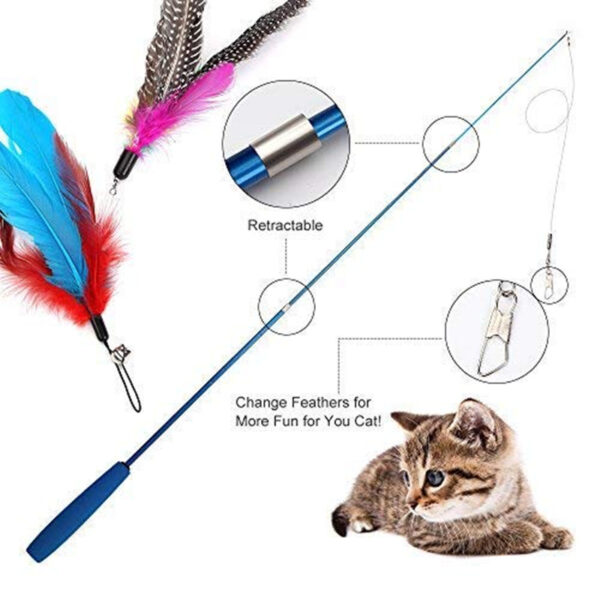 Cat teaser feather wand