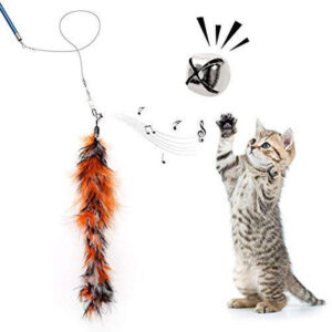 Cat teaser feather wand