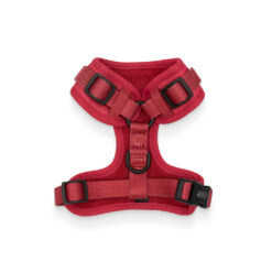 adjustable puppy harness